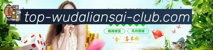 未来规划