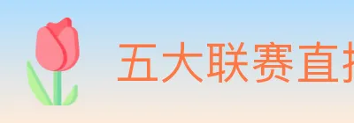 五大联赛直播 logo